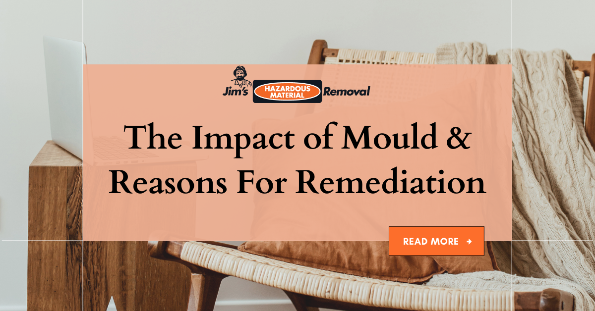 The Impact of Mould