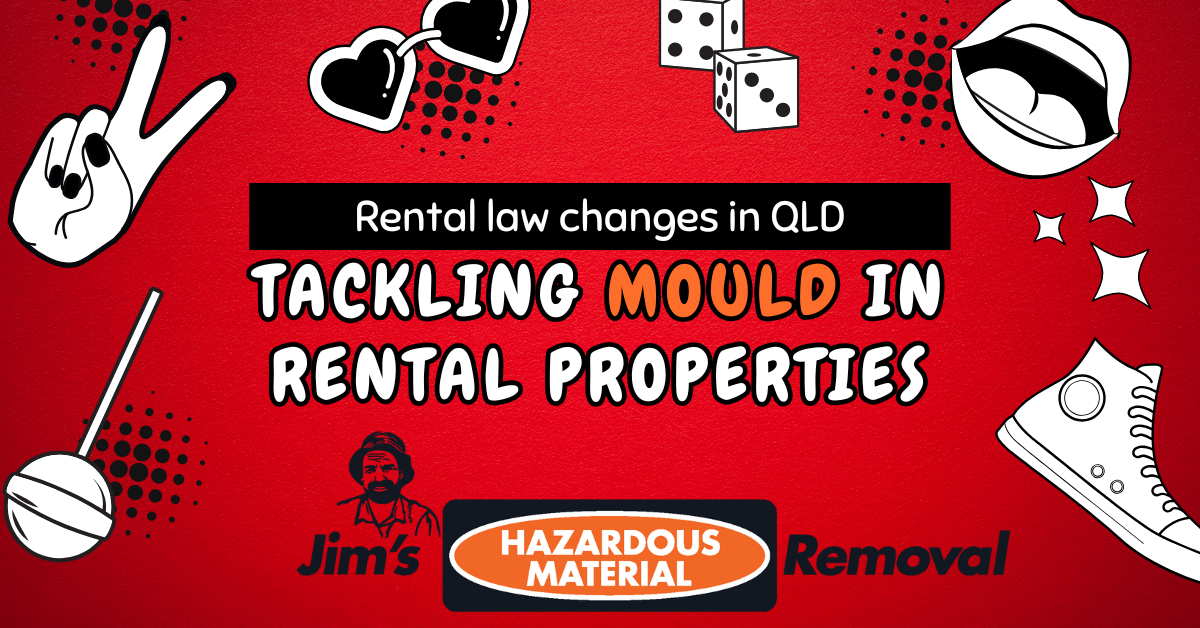 Rental Law Changes In Queensland: Mould Issues